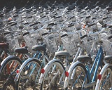 Bicycle Rentals